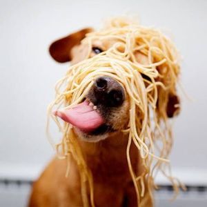 Meet your Posher, Sally